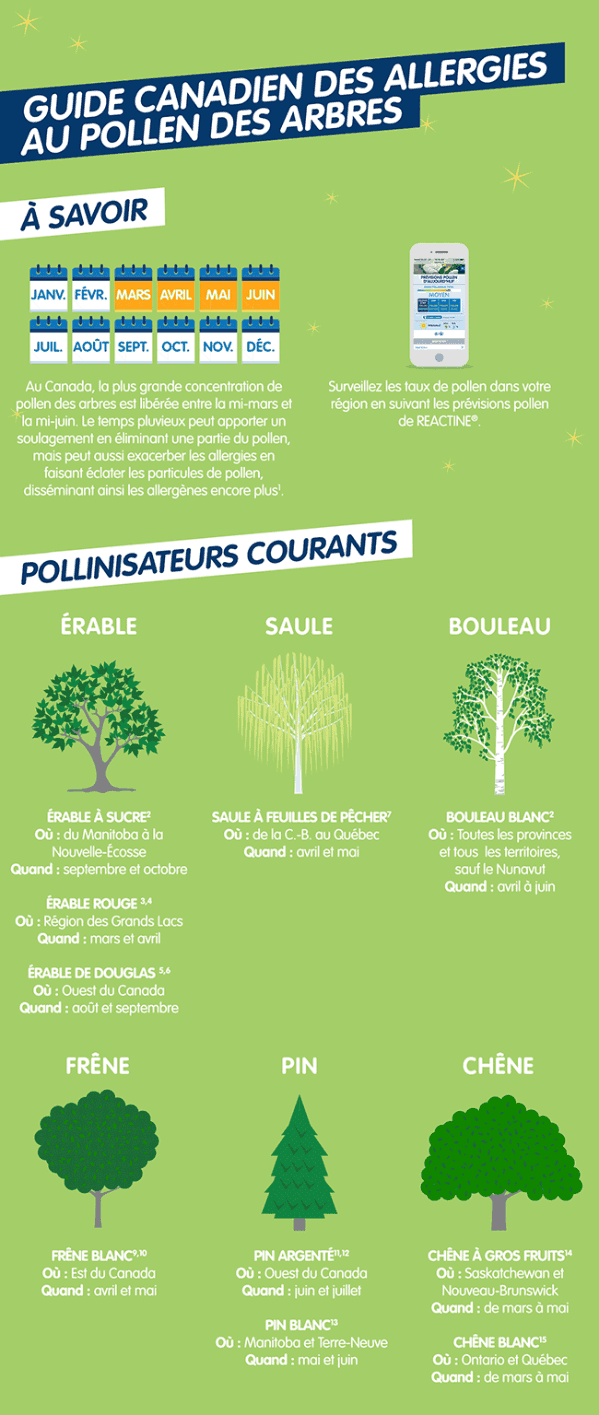Guide canadien des allergies au pollen des arbres